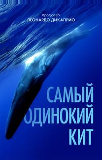 Самый одинокий кит