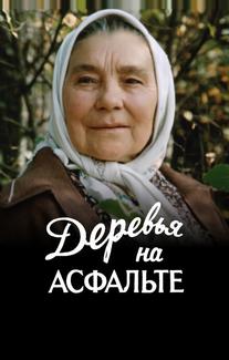 Деревья на асфальте