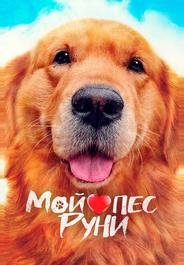 Мой пёс Руни