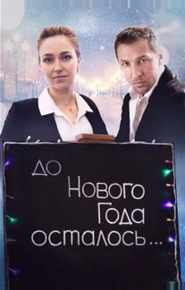 До Нового года осталось…