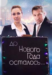 До Нового года осталось…
