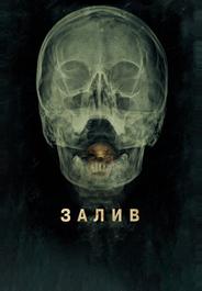 Залив