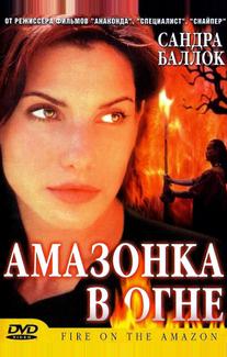 Амазонка в огне