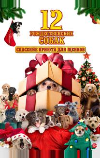 12 рождественских собак: Спасение приюта для щенков