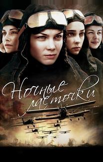 Ночные ласточки