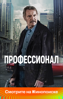 Профессионал