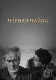 Черная чайка