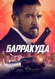 Барракуда
