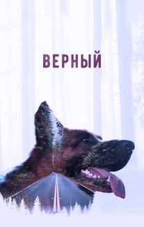 Верный