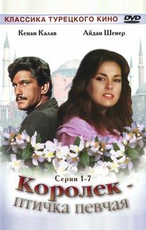 Королёк – птичка певчая