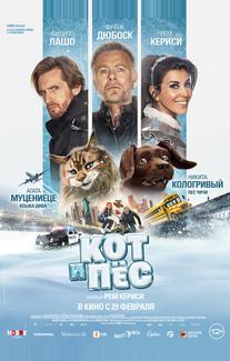 Кот и пёс