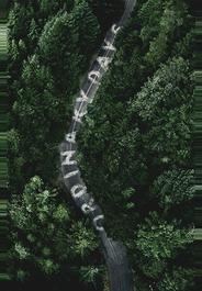 Обычные дни