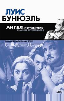 Ангел-истребитель
