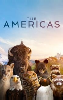 Америка