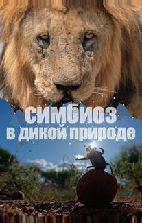 Симбиоз в дикой природе