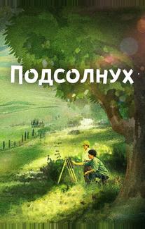 Подсолнух