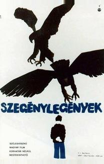 Без надежды