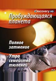 Пробуждающаяся планета