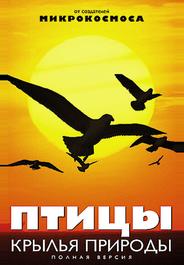 Птицы: Крылья природы