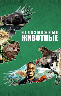 Невозможные животные