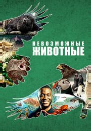 Невозможные животные