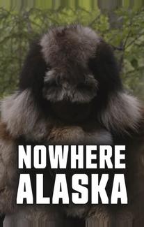 Потерянные на Аляске