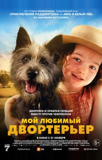 Мой любимый двортерьер