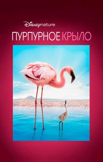 Пурпурное крыло