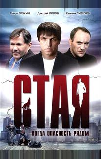 Стая
