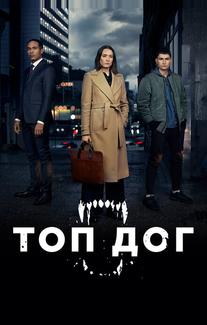 Топ дог