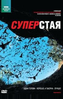 BBC: Суперстая
