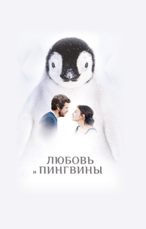 Любовь и пингвины