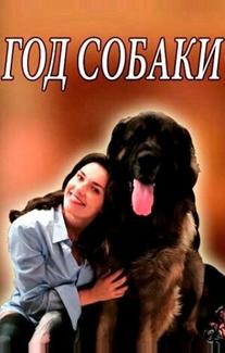 Год собаки